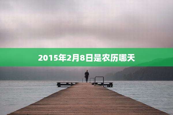 2015年2月8日是农历哪天