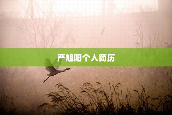 严旭阳个人简历