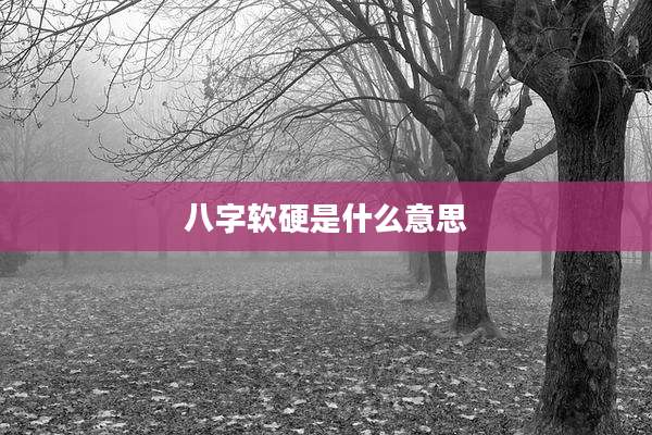 八字软硬是什么意思