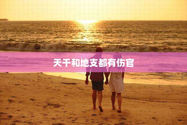 天干和地支都有伤官