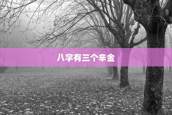 八字有三个辛金