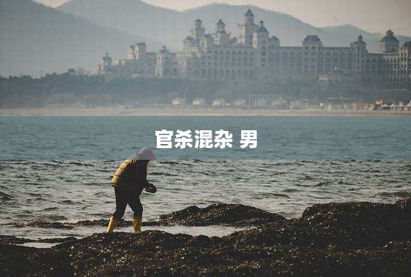 官杀混杂 男
