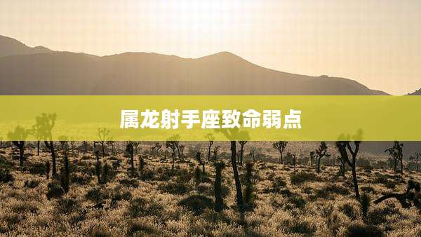 属龙射手座致命弱点