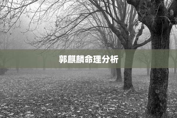 郭麒麟命理分析