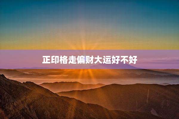 正印格走偏财大运好不好
