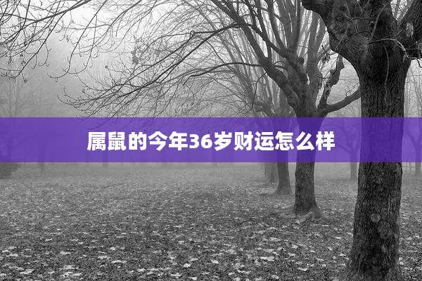 属鼠的今年36岁财运怎么样
