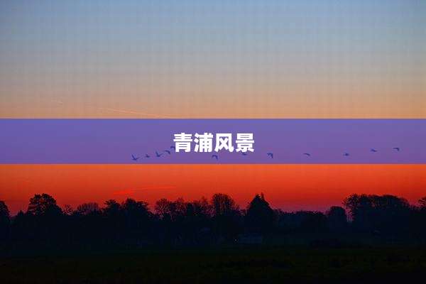 青浦风景
