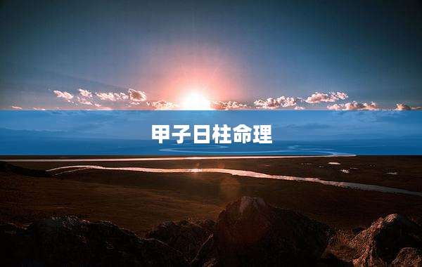 甲子日柱命理