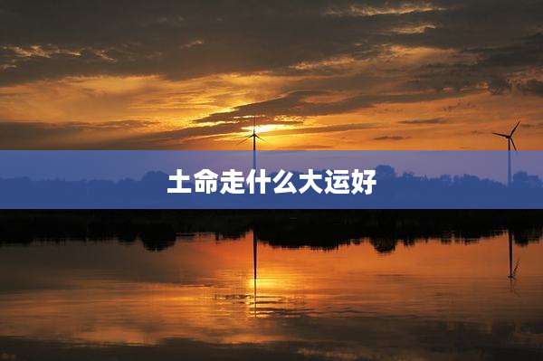 土命走什么大运好
