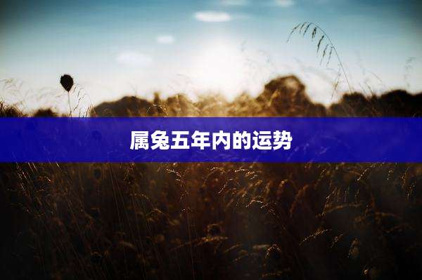 属兔五年内的运势