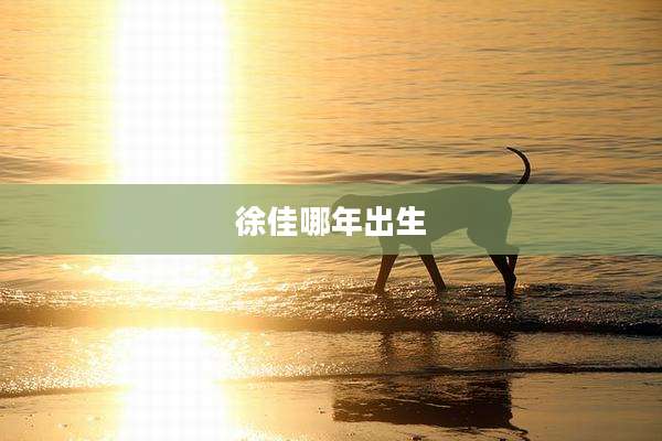 徐佳哪年出生