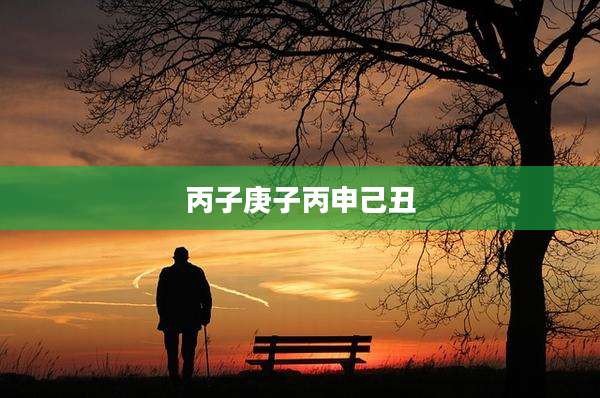 丙子庚子丙申己丑