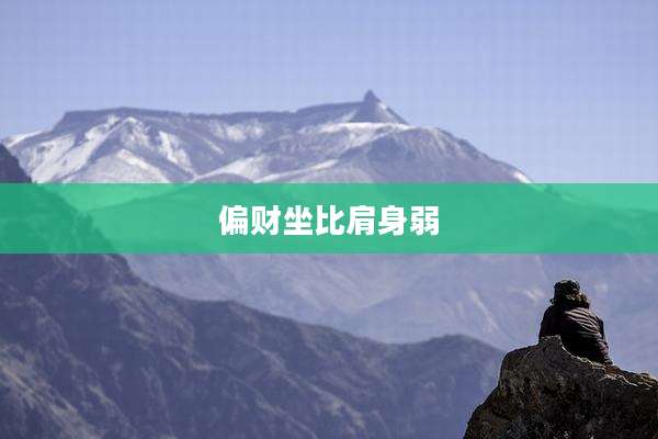 偏财坐比肩身弱