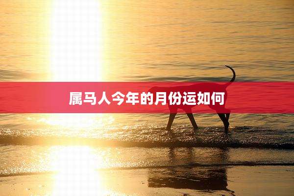 属马人今年的月份运如何