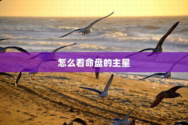 怎么看命盘的主星