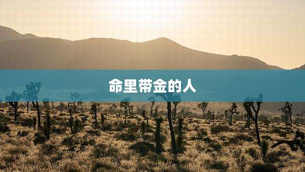 命里带金的人