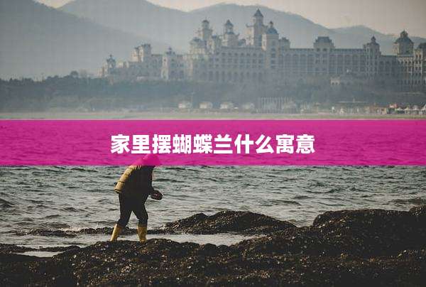 家里摆蝴蝶兰什么寓意