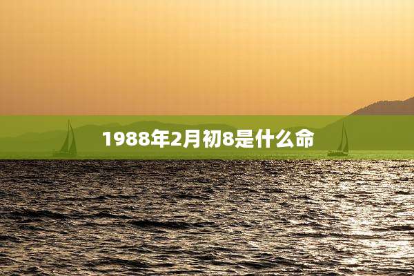 1988年2月初8是什么命