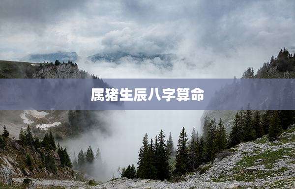 属猪生辰八字算命