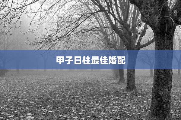 甲子日柱最佳婚配