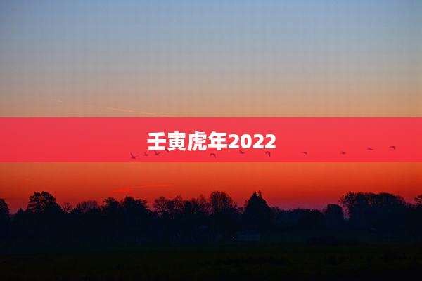 壬寅虎年2022