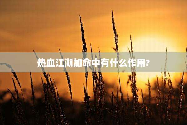 热血江湖加命中有什么作用?