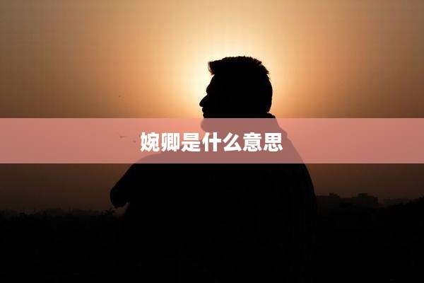 婉卿是什么意思
