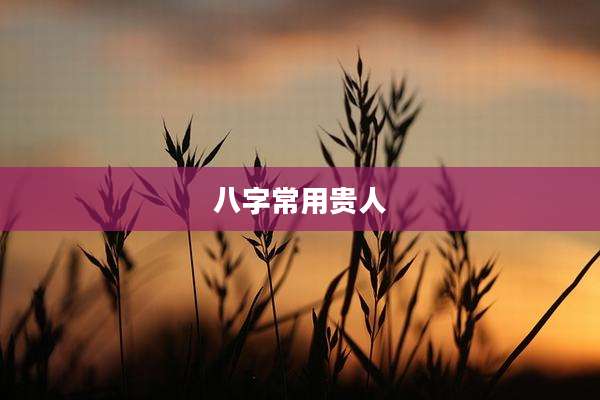 八字常用贵人