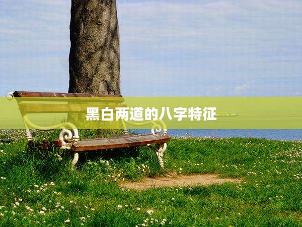 黑白两道的八字特征