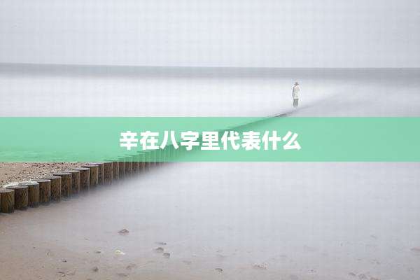 辛在八字里代表什么