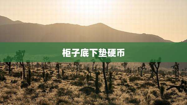 柜子底下垫硬币