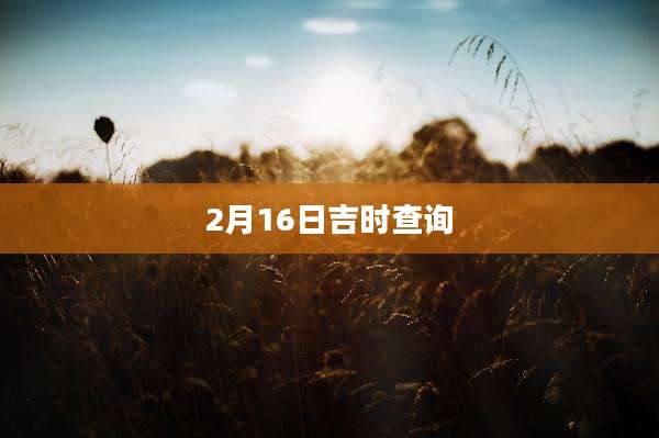2月16日吉时查询