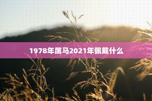 1978年属马2021年佩戴什么