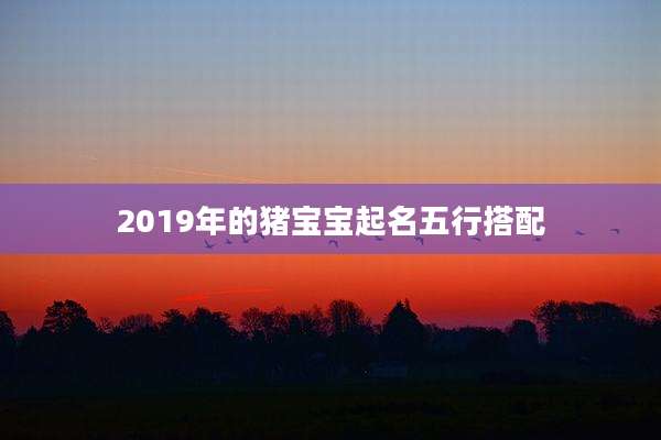 2019年的猪宝宝起名五行搭配
