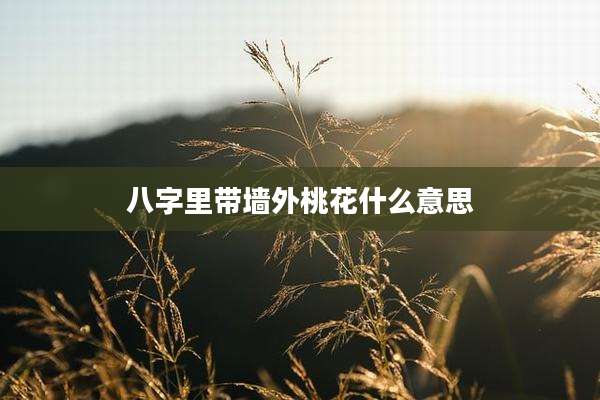 八字里带墙外桃花什么意思