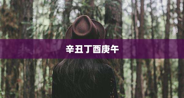 辛丑丁酉庚午