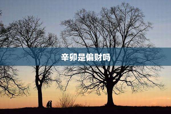 辛卯是偏财吗