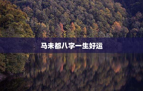 马未都八字一生好运
