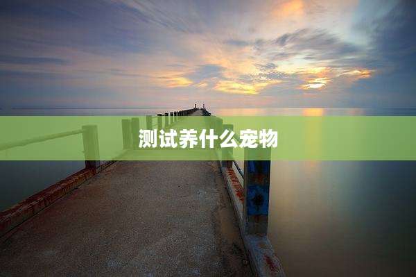 测试养什么宠物