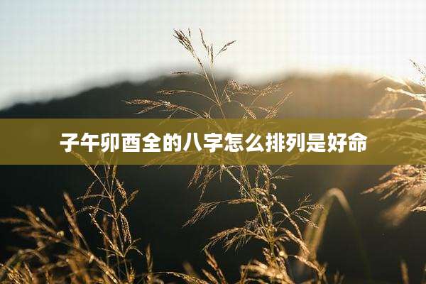 子午卯酉全的八字怎么排列是好命