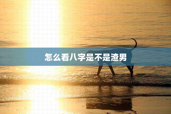 怎么看八字是不是渣男