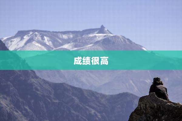 成绩很高