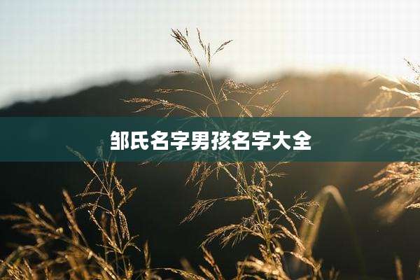 邹氏名字男孩名字大全