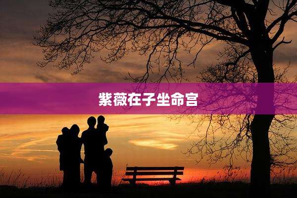 紫薇在子坐命宫