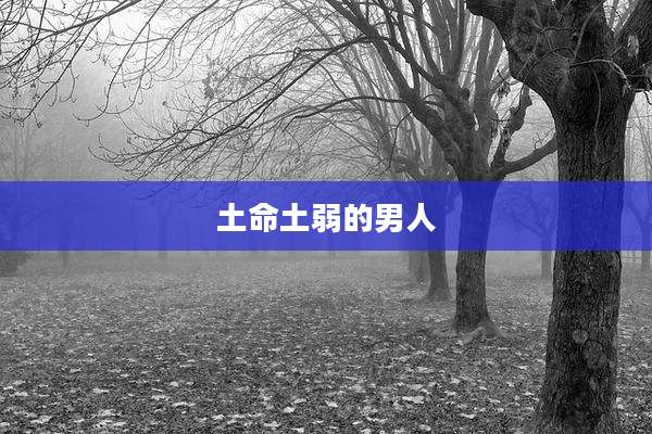 土命土弱的男人