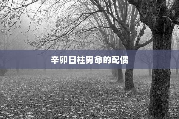 辛卯日柱男命的配偶