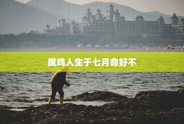 属鸡人生于七月命好不