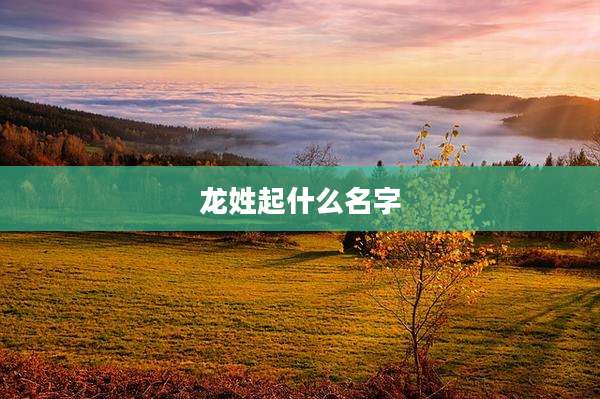 龙姓起什么名字