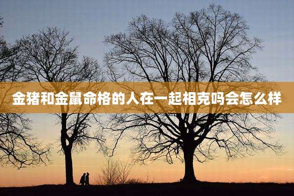 金猪和金鼠命格的人在一起相克吗会怎么样