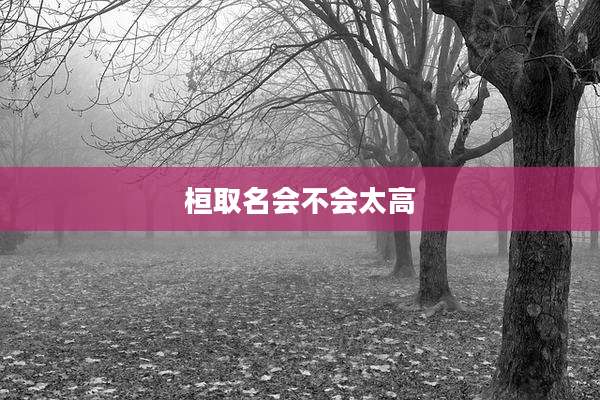 桓取名会不会太高